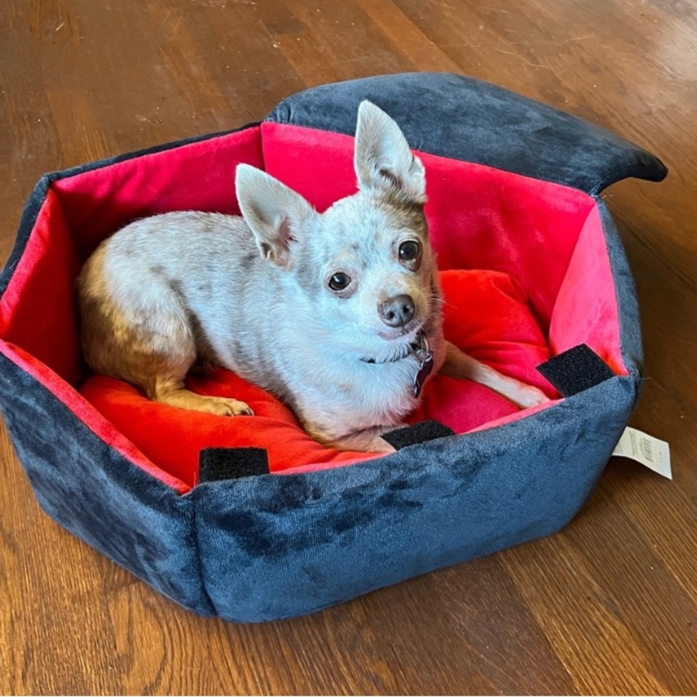 coffin dog pet bed